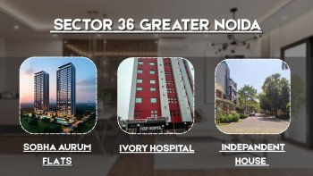 Sector-36 Greater Noida 